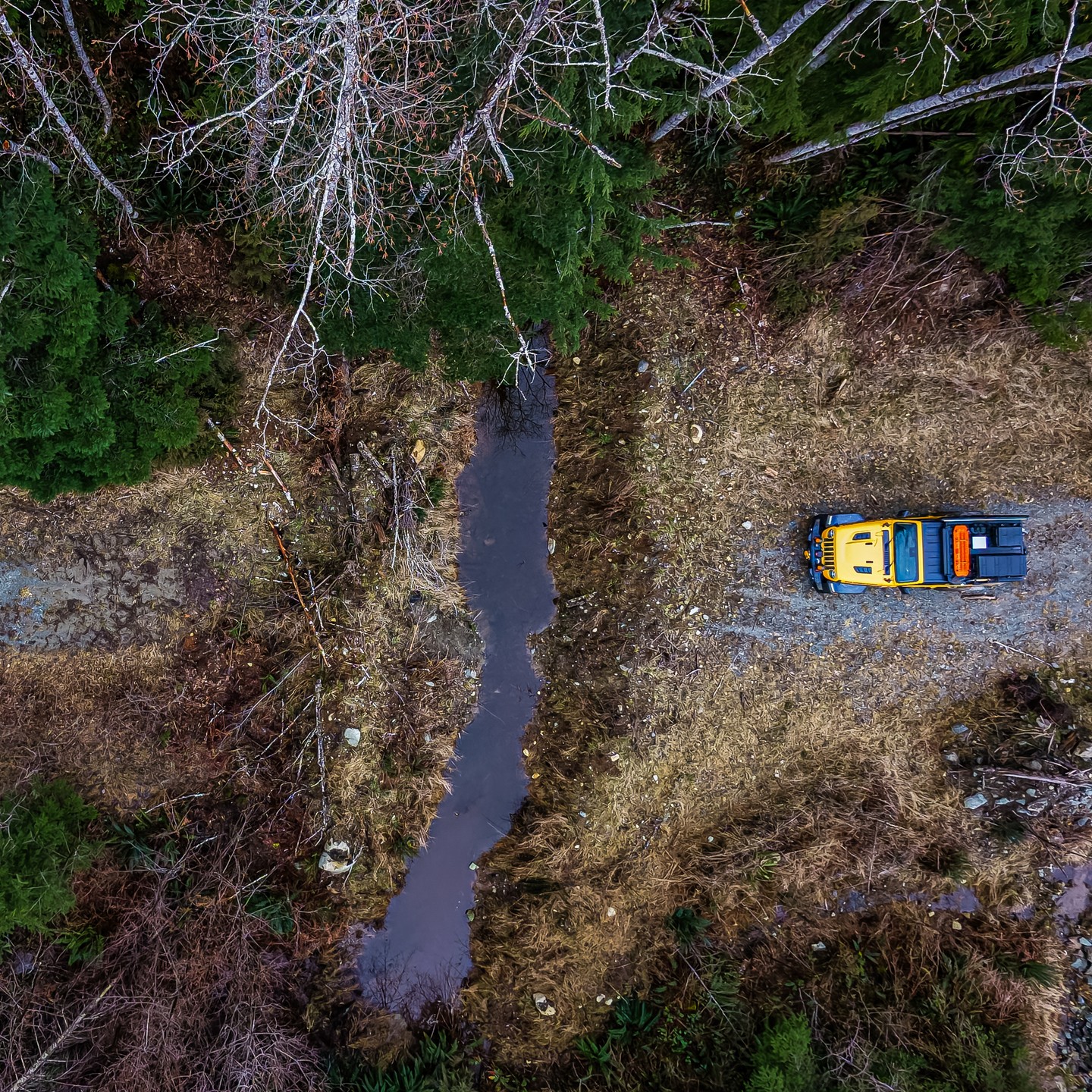What's Past a BLOCKED Forest Road?